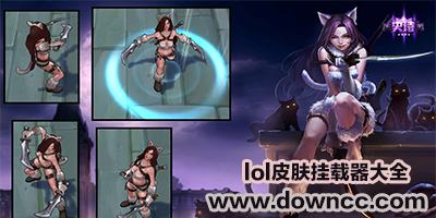 皮膚掛載器
