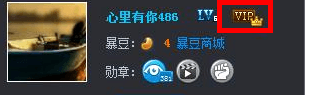 暴風(fēng)影音會(huì)員賬號(hào)共享器