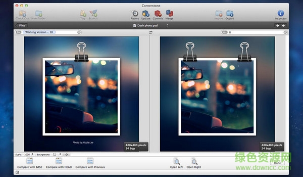 cornerstone for mac(SVN管理工具) v3.0.1 蘋(píng)果電腦版 0