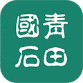 青田國(guó)石(一元奪石雕)