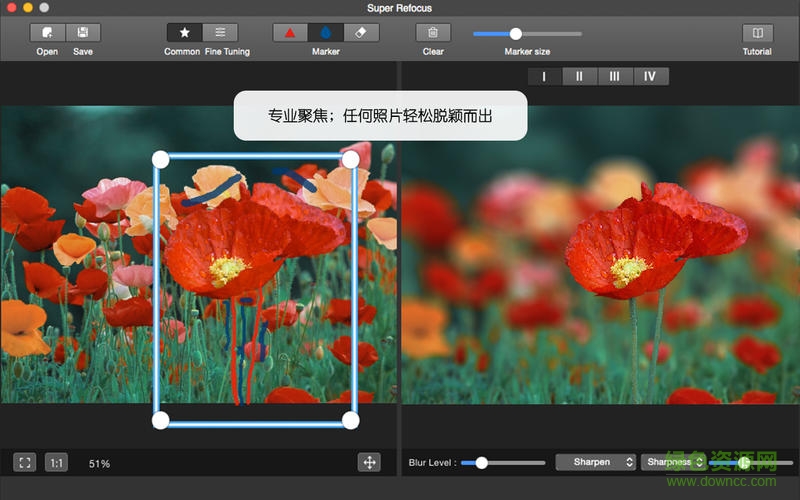 After Focus景深濾鏡mac版 v1.5.5 蘋果電腦版 0
