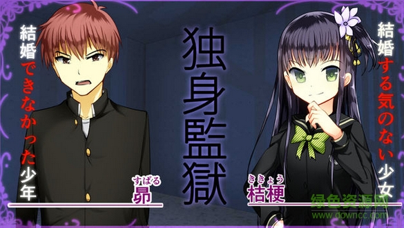 結(jié)婚主義國家手機修改版 v1.0 安卓漢化版 1