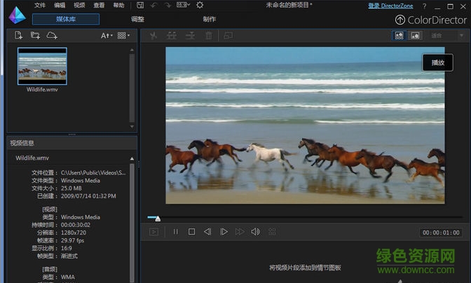 ColorDirector視頻調色工具 v5.0.5623 中文試用版 0