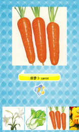 幼兒學(xué)英語 v2.8.7 安卓版 4