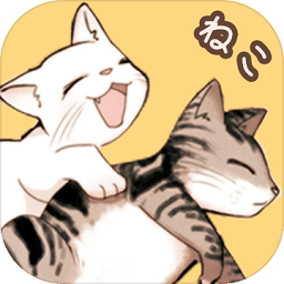 貓宅97