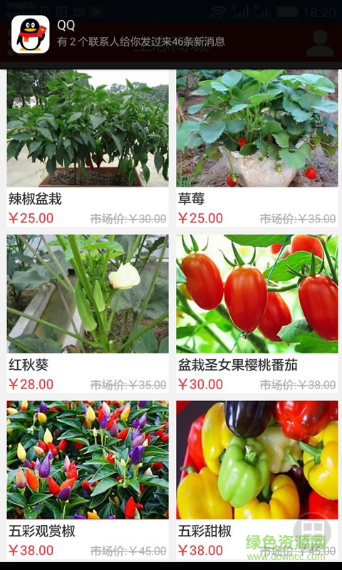 生態(tài)休閑 v1.0.3 安卓版 2