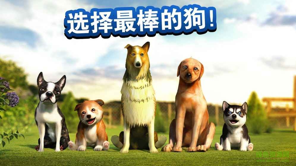 小狗模擬器內購修改版(DogSimulator) v4.2.0 安卓中文無限金幣版 1