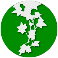 Ivy側(cè)邊欄