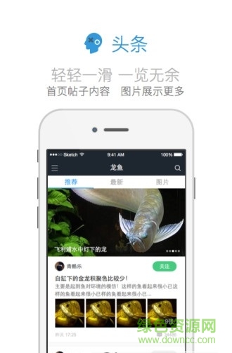 龍顛觀賞魚手機(jī)版(龍巔觀賞魚) v2.11.3 官網(wǎng)安卓版 0