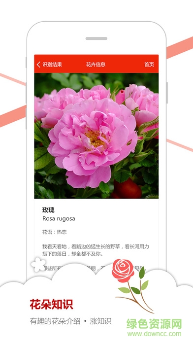 微軟識(shí)花官方app3
