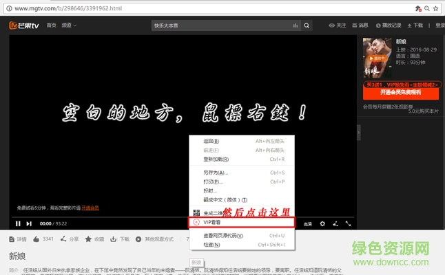vip看看插件下載