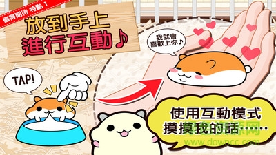 倉鼠收集