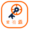 愛詞霸英語在線詞典