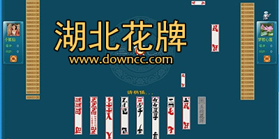 湖北花牌