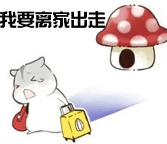夫控妻奴小倉(cāng)鼠表情包