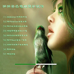 姍姍來遲軟件光盤2017