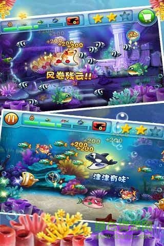 大魚吃小魚2中文版