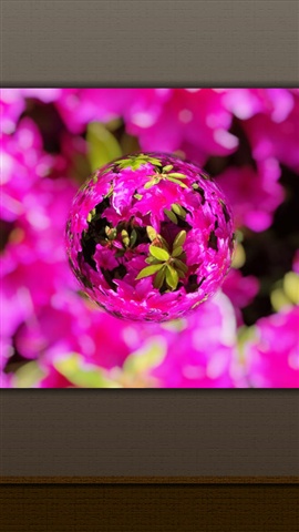彈珠相機marblecam apk v6.6.6 安卓版 3