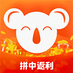 拼返返官方版