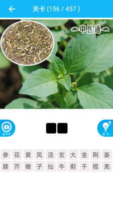 中醫(yī)通ipad客戶端 v2.4.1 蘋果ios版 0