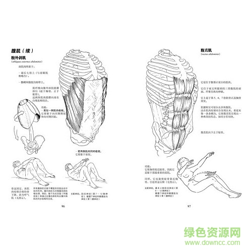 運動解剖書 pdf
