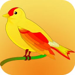 拍照識鳥app(中國野鳥速查)