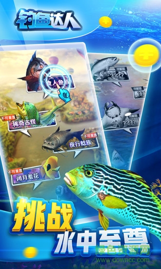 釣魚達人0