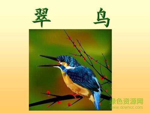 翠鳥免費ppt課件  0