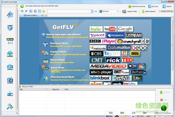 GetFLV中文修改版