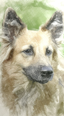 Artomaton app