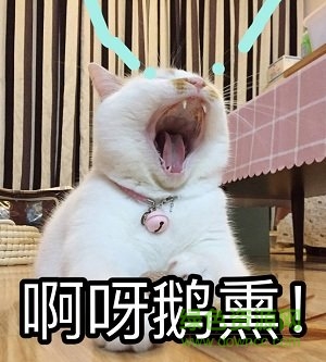 樓樓表情包