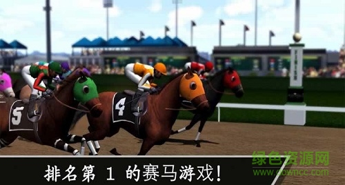 終極賽馬模擬手機(jī)版 v8.3.0 安卓版 0