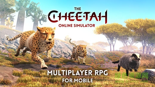 TheCheetah0