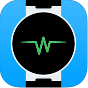 阿爾卡特Onetouch Move手表