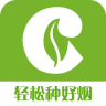 金葉在線軟件