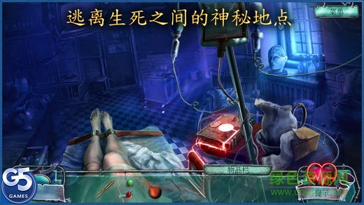 愛麗絲之旅