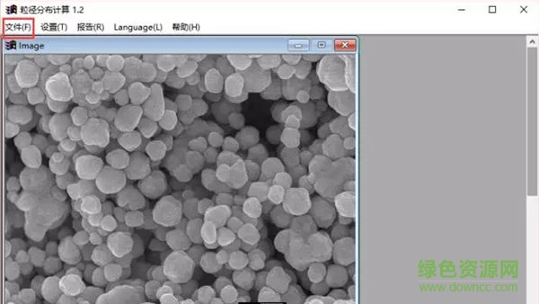 nano measurer 1.2 v1.2.5 綠色版 0