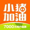 小豬加油