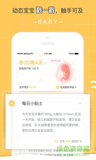孕跡暖暖 v5.2.0  安卓版 2