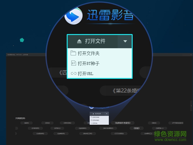 迅雷播放特權 v1.2.2.9 綠色版 0