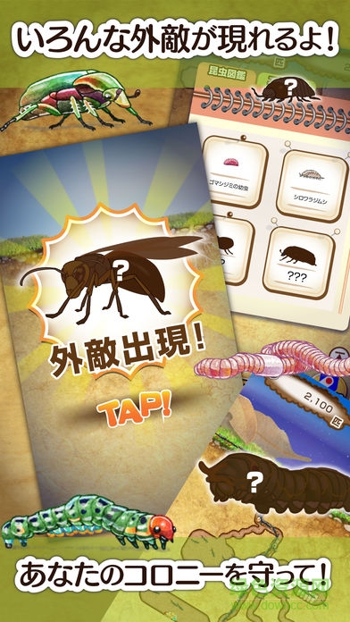 螞蟻的巢漢化版(アリの巣コロニー) v1.0.3 安卓版 1