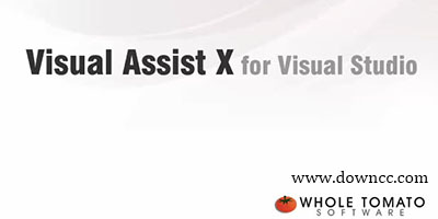 visual assist x