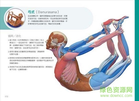 瑜伽3d解剖書(shū) 電子版