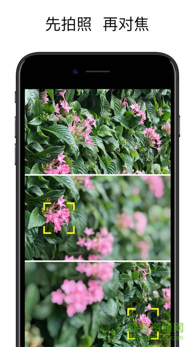 Focos app