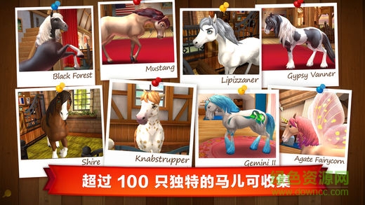 小馬沖沖沖無限鉆石版(HorseHaven) v5.3.0 安卓版 1