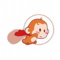 小悟空騎手