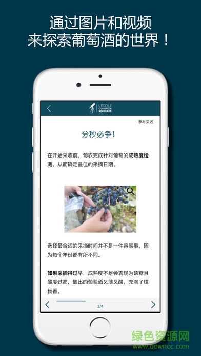 掌上波爾多 v1.0 安卓版 2