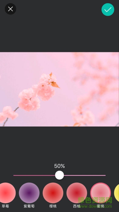 taco粉色相機(jī)app