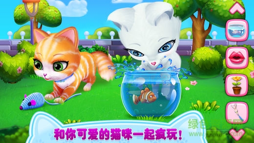 貓咪之戀手機(jī)游戲 v1.1.2 安卓版 0