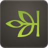 ancestry家譜樹